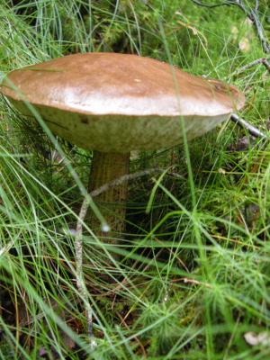 [blog/w3_12.jpg]
